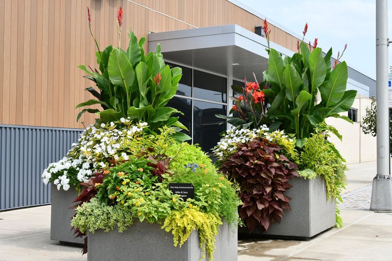 Downtown Lewistown planters full of red canna lilies, white flowers and sweet potato vine, with a One-Stop Communications sponsor sign